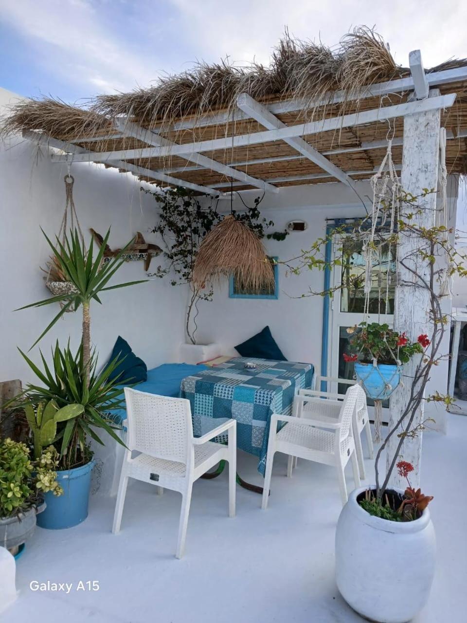 Dar Evelyne By Daldoul Hotel Mahdia Bagian luar foto